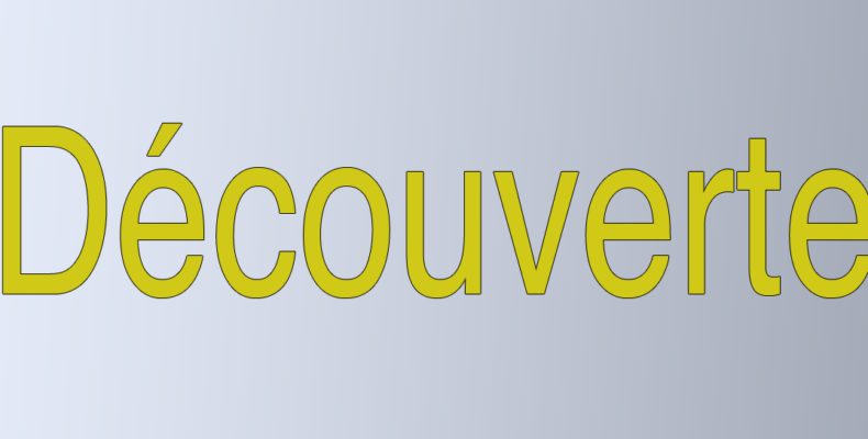 Formation forex lyon