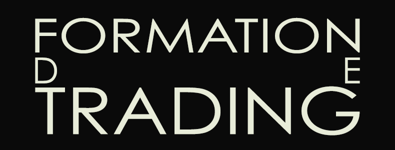 Formation forex lyon