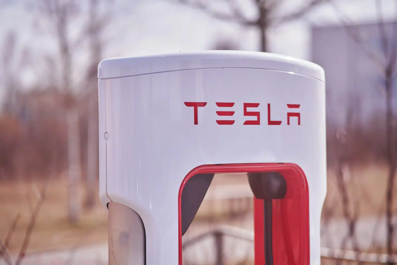 Rémunération_Record__Musk formation trading
