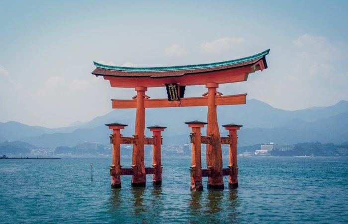 japon formation trading